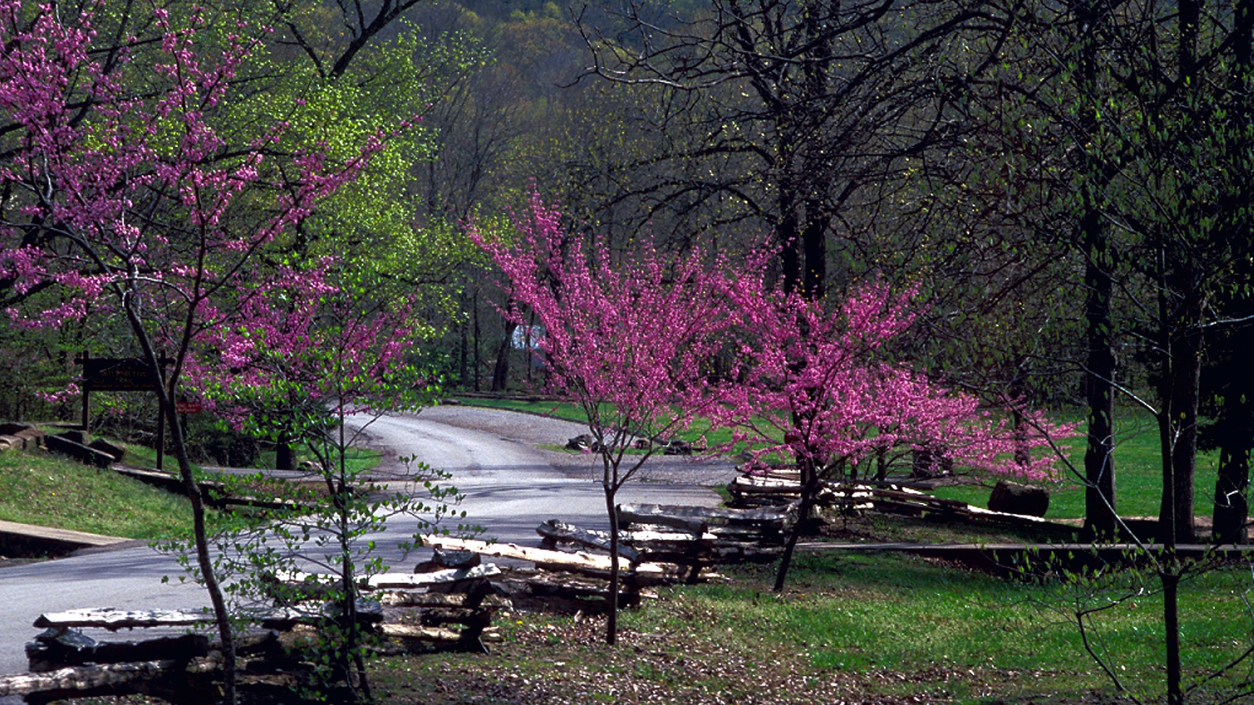 Weekend getaway: Devil's Den State Park in Arkansas - Springfield Daily  Citizen