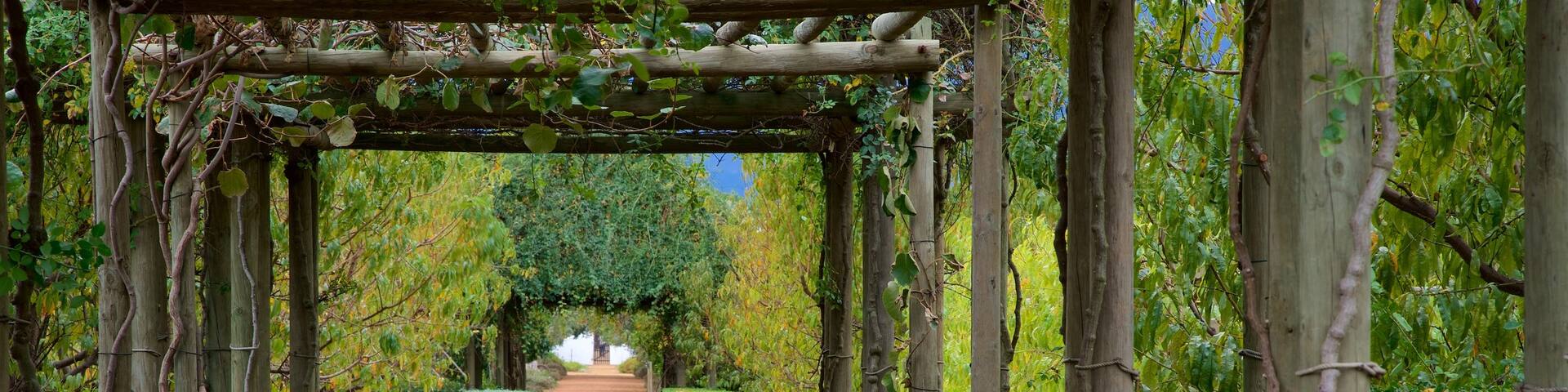 Simondium, Franschhoek, Western Cape, South Africa