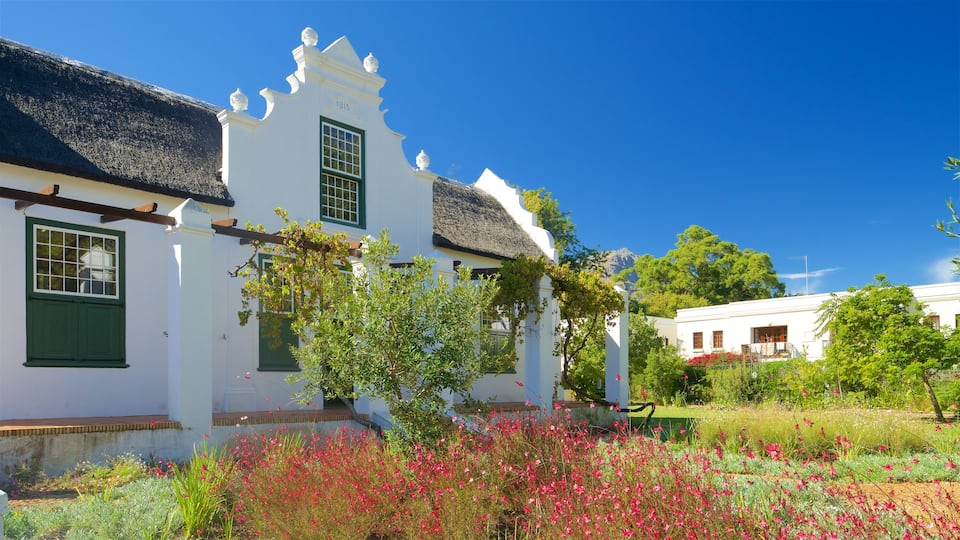 Stellenbosch
