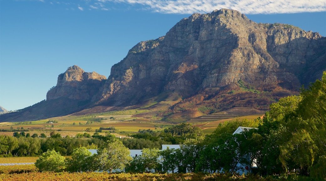 Vrede en Lust Estate