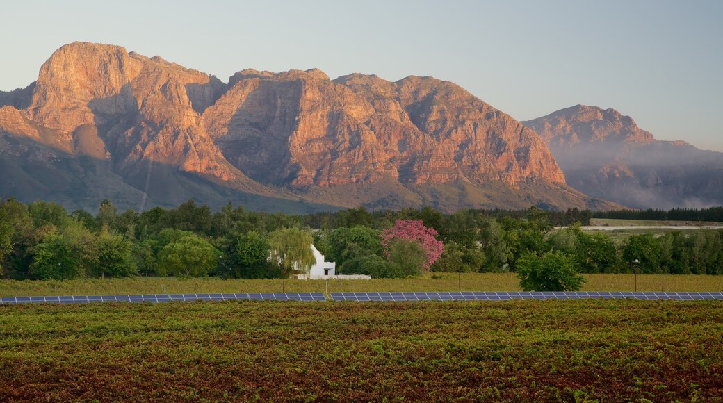 Vrede en Lust Winery