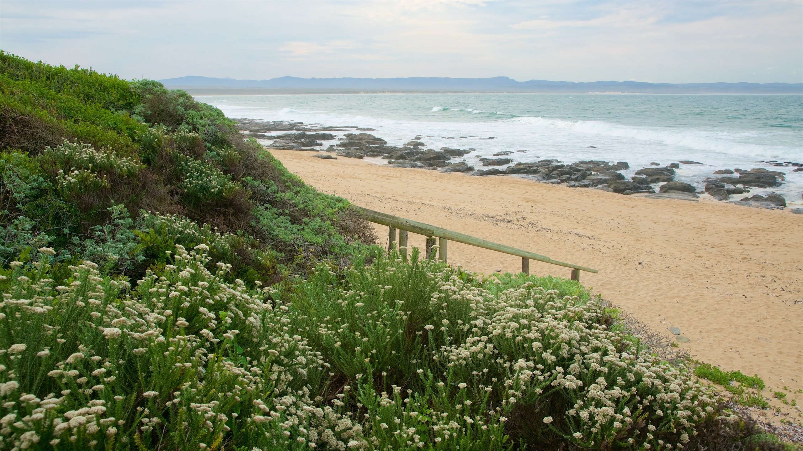 Jeffreys Bay
