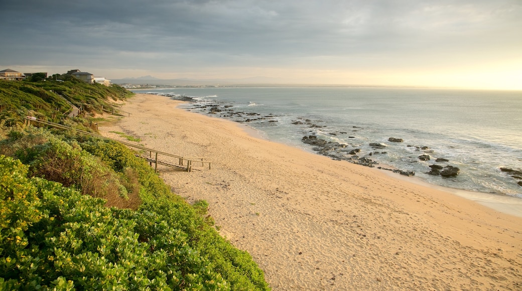 Jeffreys Bay som omfatter udsigt over kystområde, klippekystlinje og en sandstrand