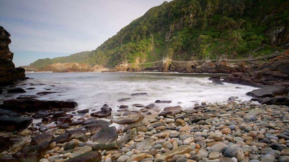 チチカマ国立公園 表示 小石のビーチ と 河あるいは小川