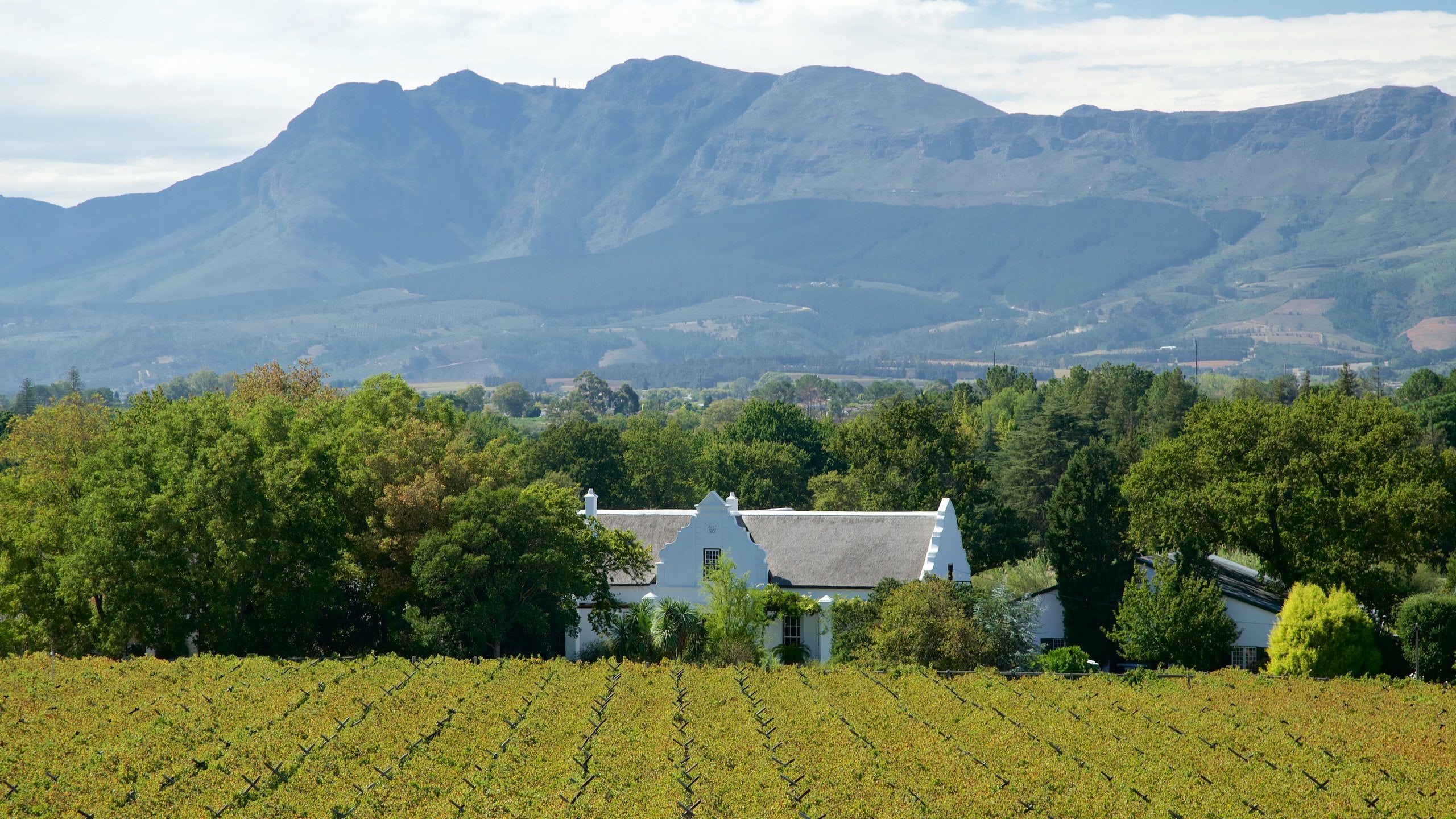 Paarl