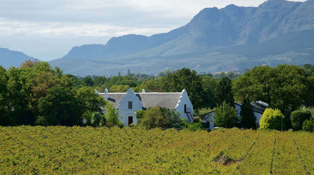 Paarl