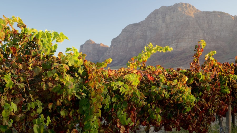 Vrede en Lust Estate