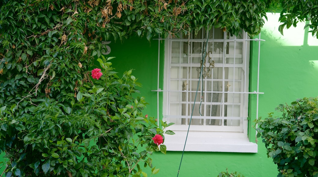 Bo-Kaap das einen Haus und Wildblumen