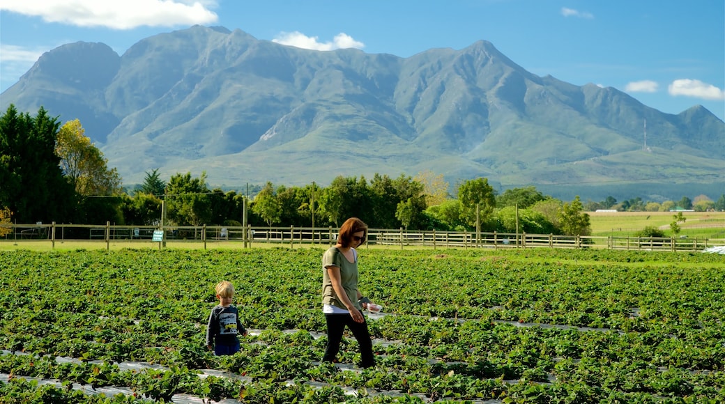 Redberry Farm y también una familia