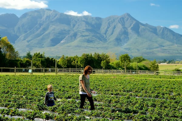 Redberry Farm as well as a family