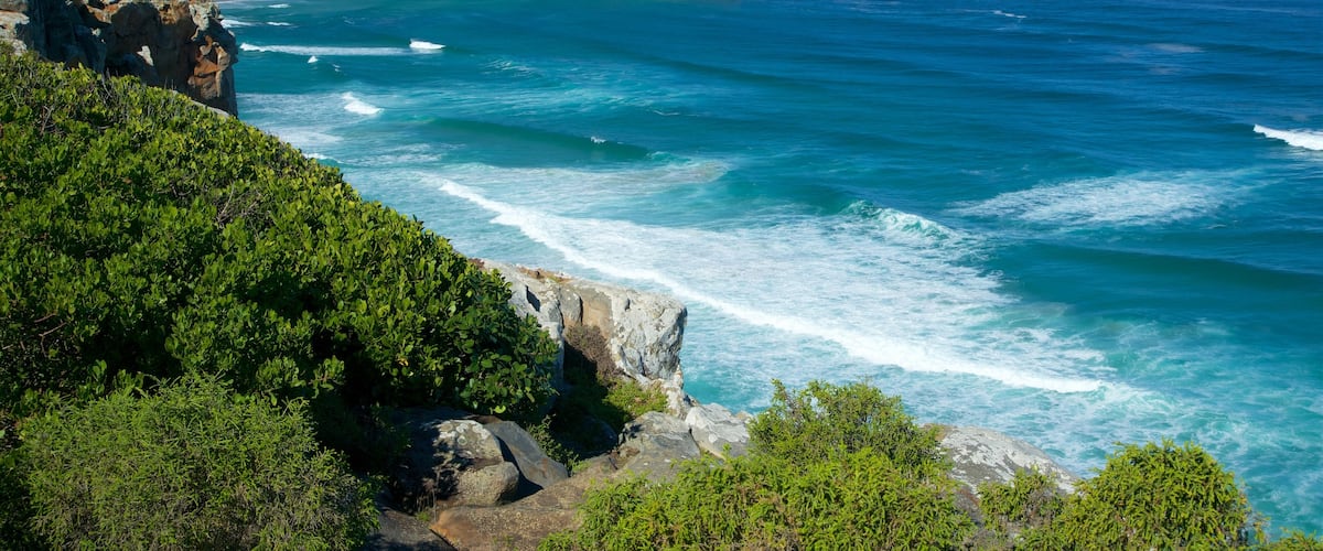 Plettenberg Bay