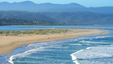 Plettenberg mettant en vedette plage de sable, vues littorales et surf