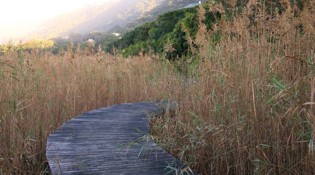 อุทยานแห่งชาติ Wilderness เนื้อเรื่องที่ พระอาทิตย์ตก และ ทิวทัศน์ที่เงียบสงบ