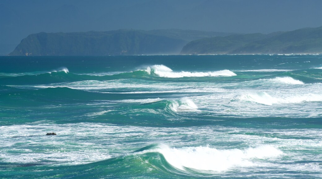 Goukamma Nature and Marine Reserve montrant vues littorales et vagues