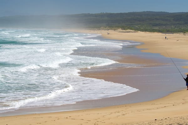 Goukamma Nature and Marine Reserve qui includes pĂȘche, plage et surf