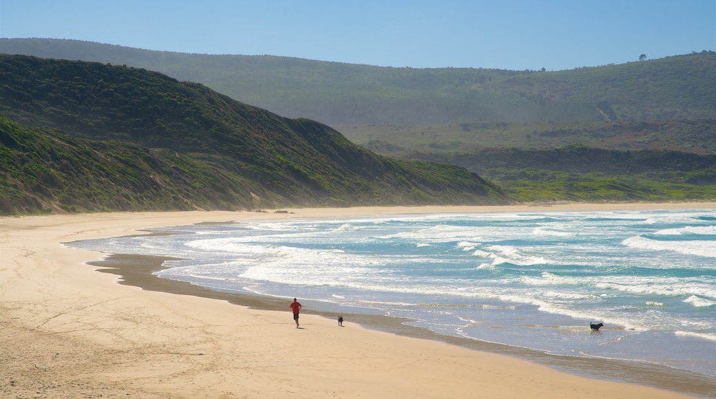 Knysna