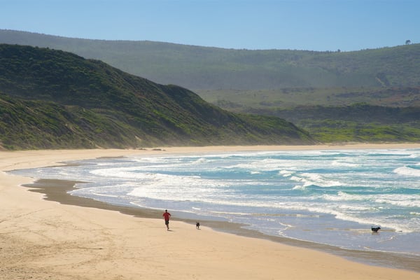 Knysna montrant plage, scĂšnes tranquilles et vues littorales