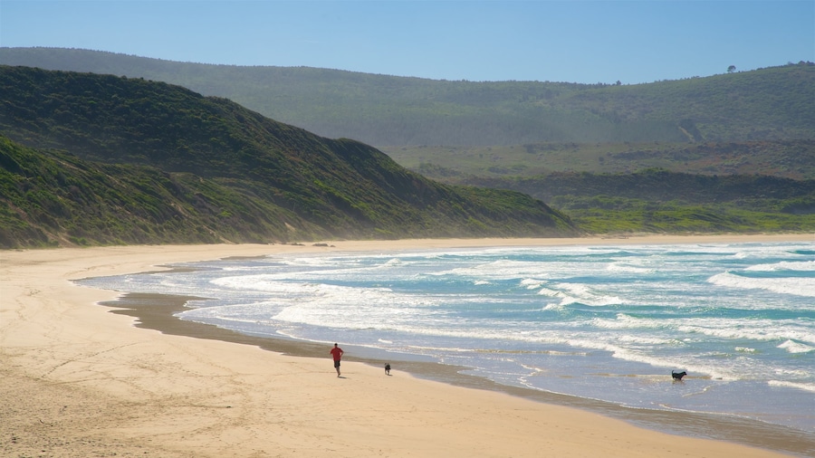 Knysna montrant plage, scĂšnes tranquilles et vues littorales