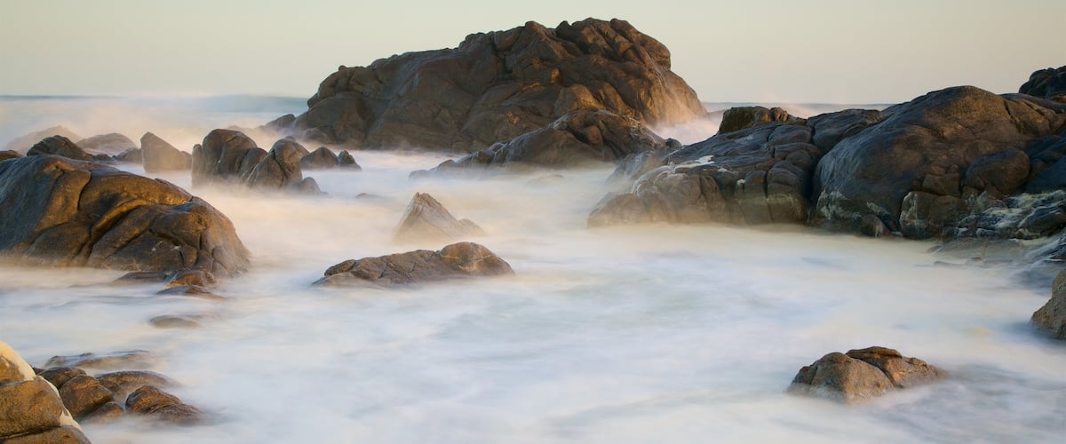 West Coast National Park showing mist or fog