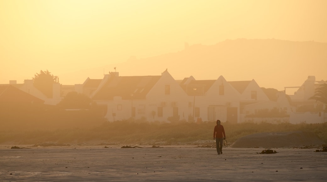 Strand van Paternoster toont een zandstrand en een zonsondergang en ook een man