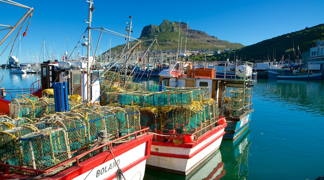 Hout Bay Beach showing a marina