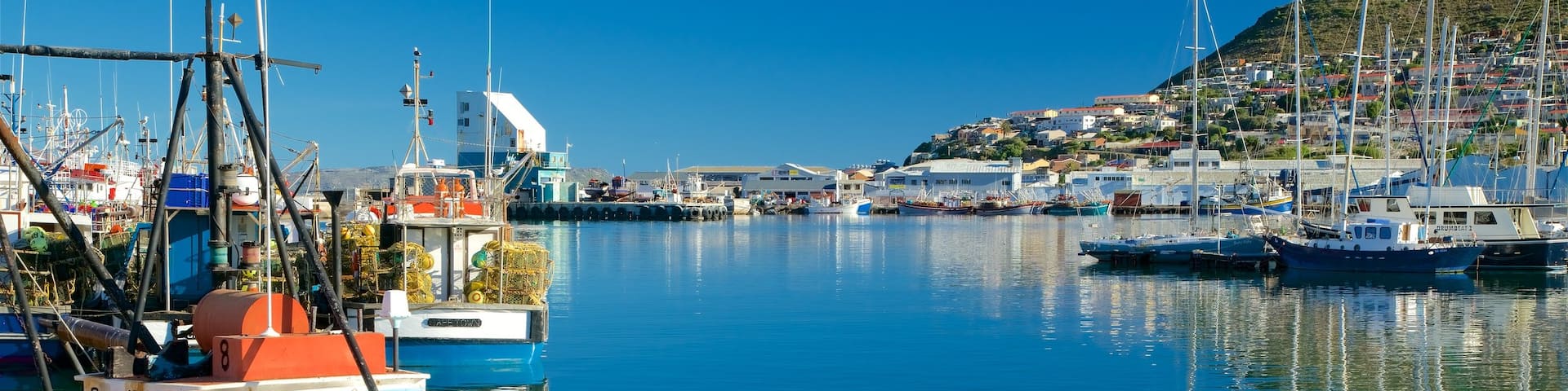 Hout Bay Beach featuring a marina