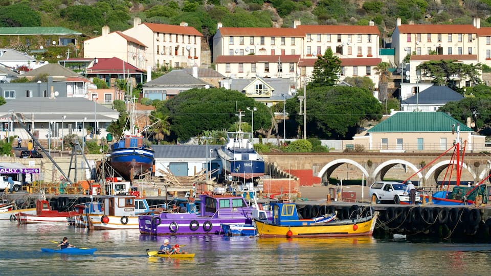 Kalk Bay mostrando piragüismo, una bahía o un puerto y una localidad costera