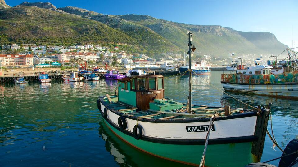 Kalk Bay mostrando una localidad costera, una bahía o un puerto y embarcaciones