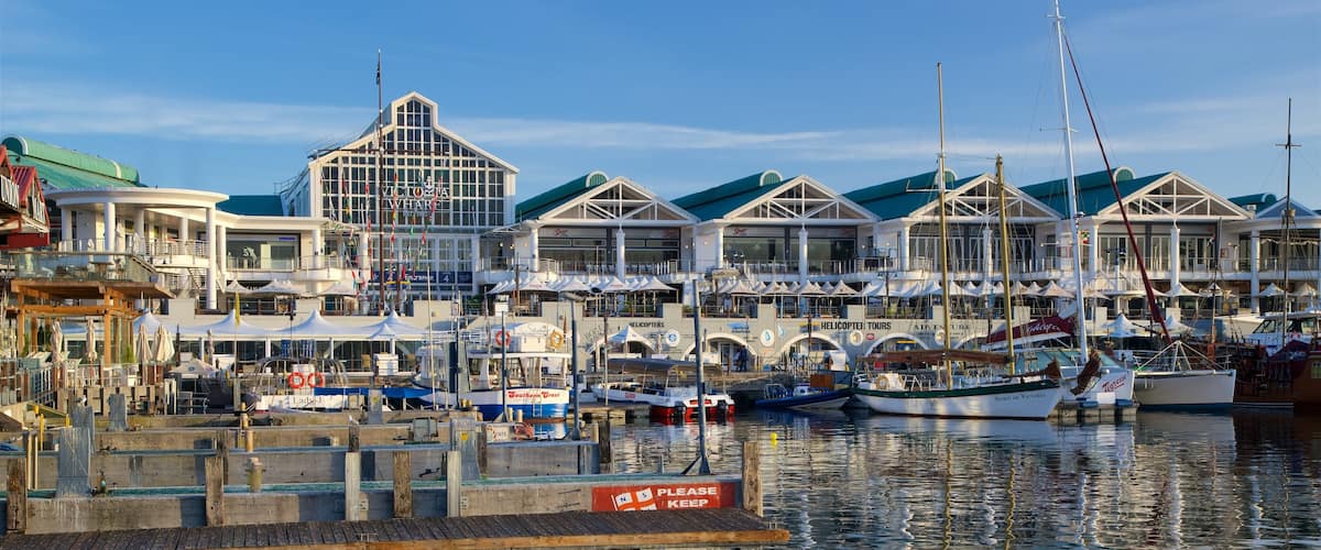 Victoria and Alfred Waterfront featuring a marina