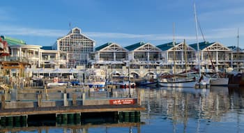 Victoria and Alfred Waterfront featuring a marina