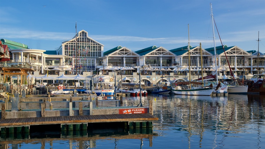 Victoria and Alfred Waterfront showing a marina
