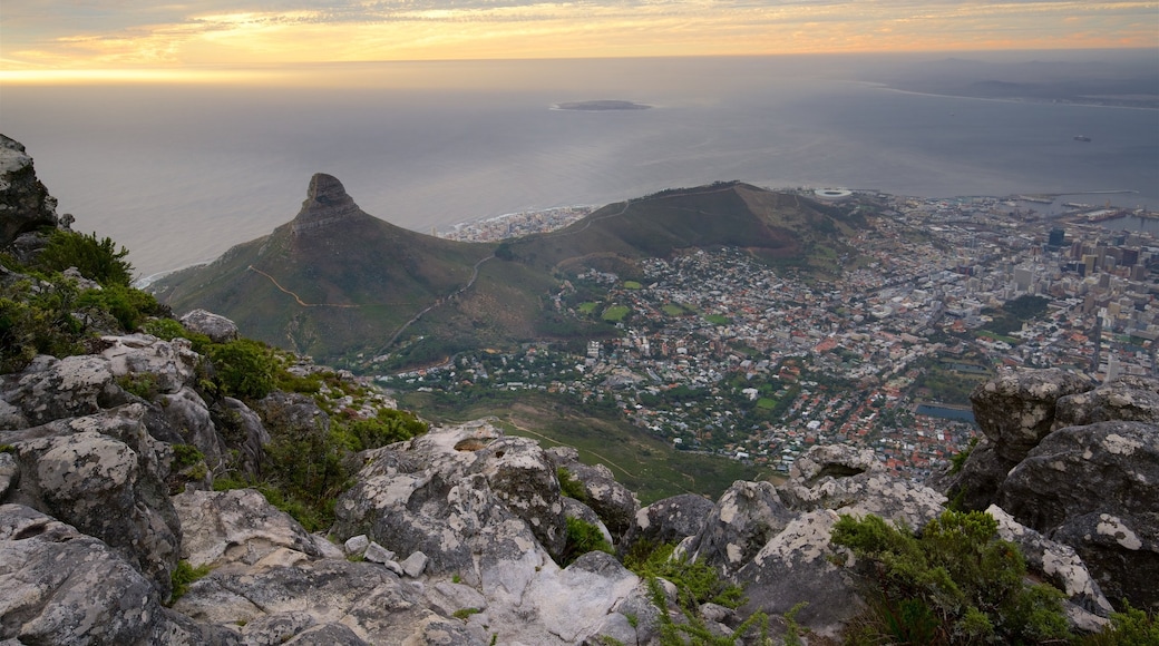 Lions Head