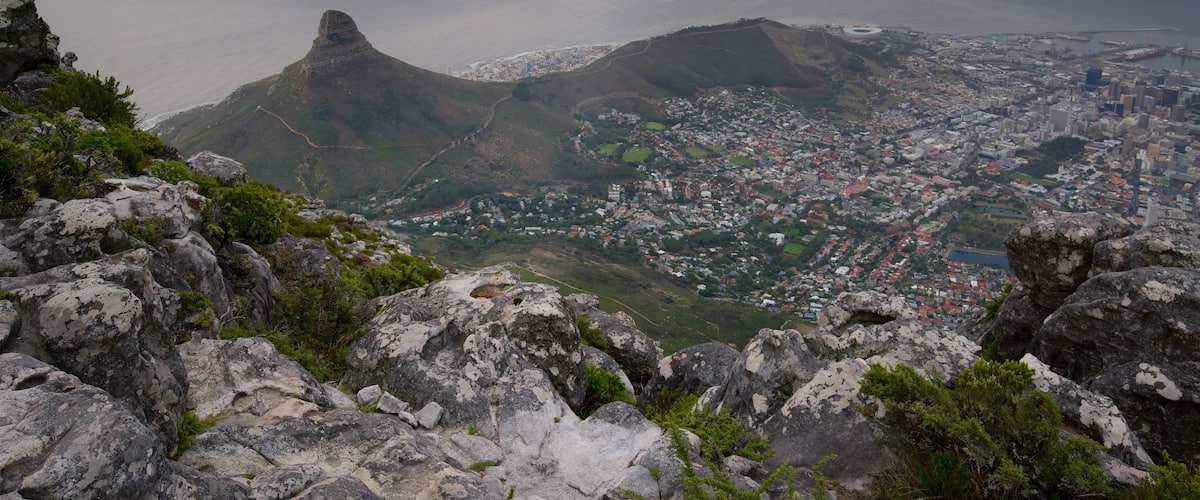 Lions Head