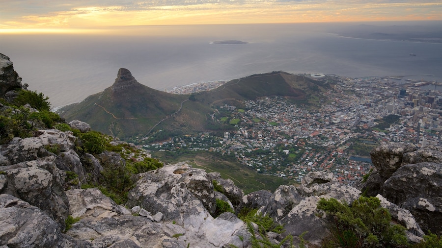 Lions Head
