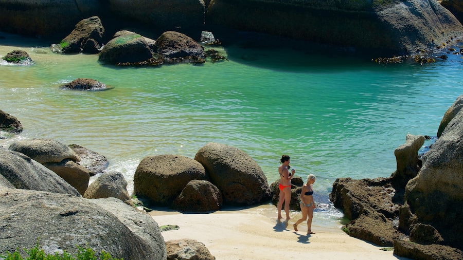 Boulders Beach featuring a beach and rugged coastline as well as a small group of people