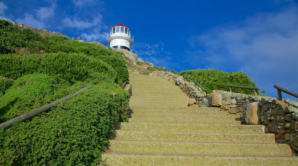 Cape Point featuring a lighthouse