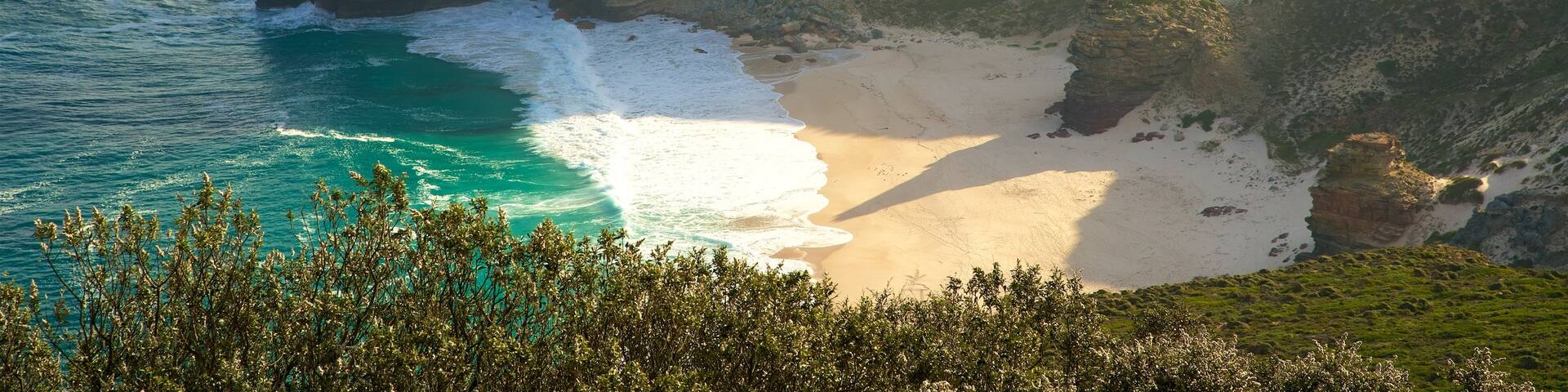 Cape Point which includes rocky coastline and a beach