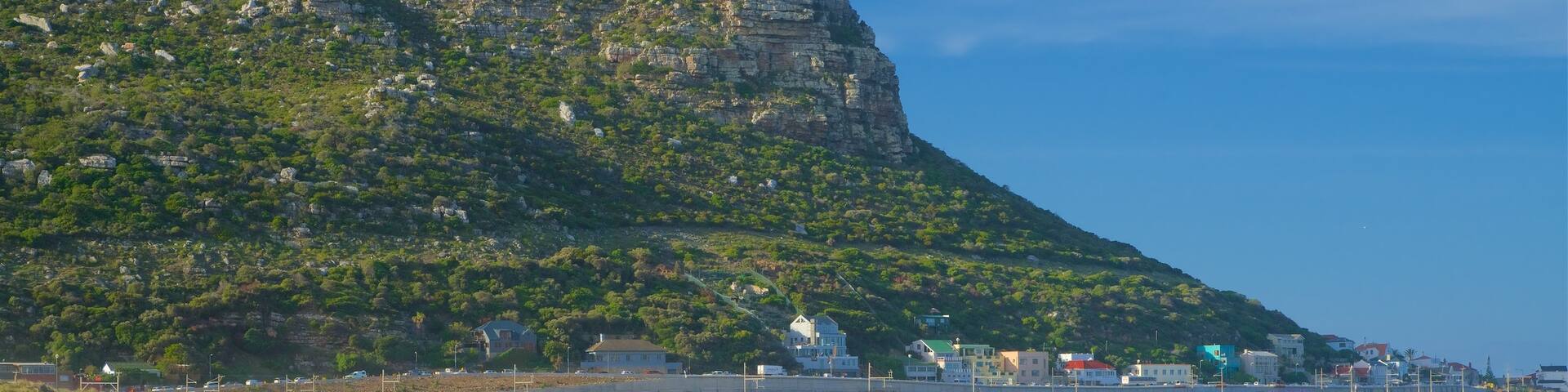 Fish Hoek Beach showing a sandy beach