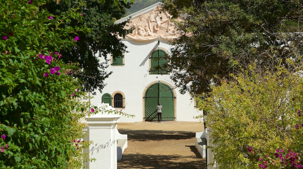 Groot Constantia vingård