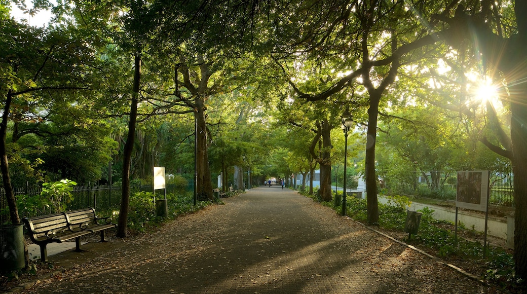 Company Gardens which includes a park