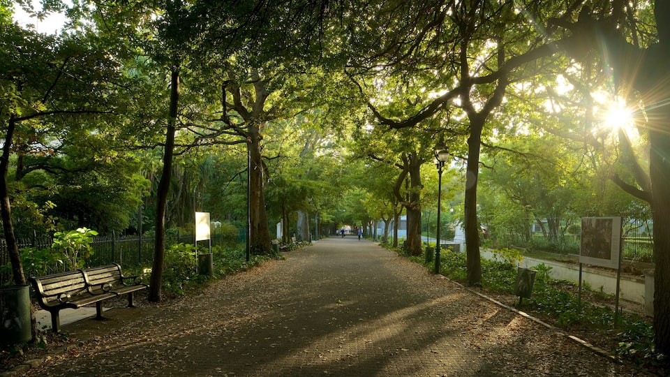 Company Gardens featuring a park