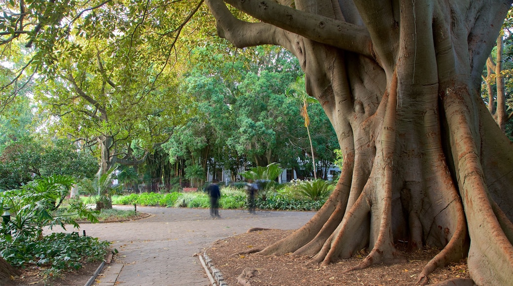 Compagnietuin inclusief een park