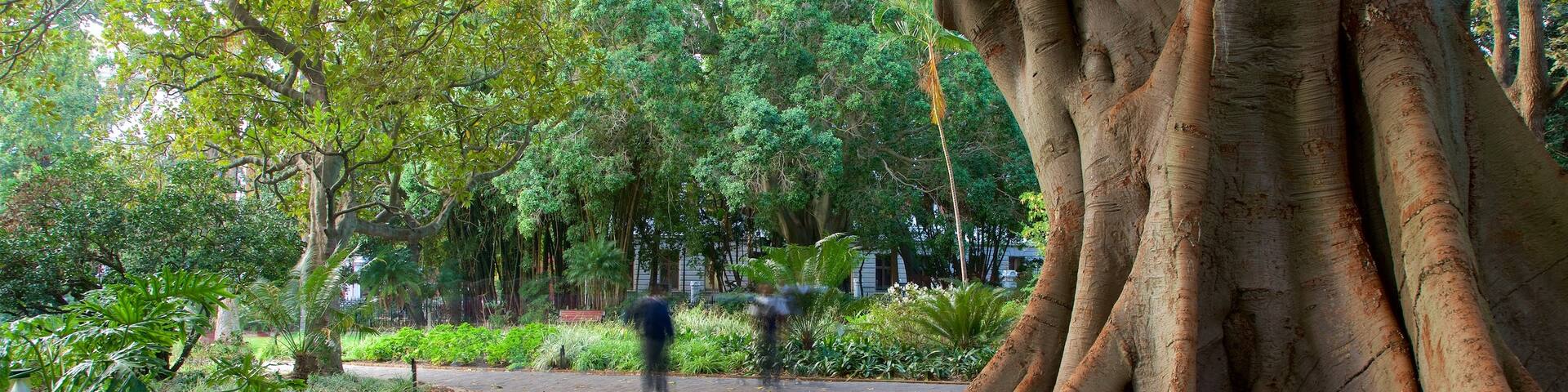 Company Gardens montrant parc