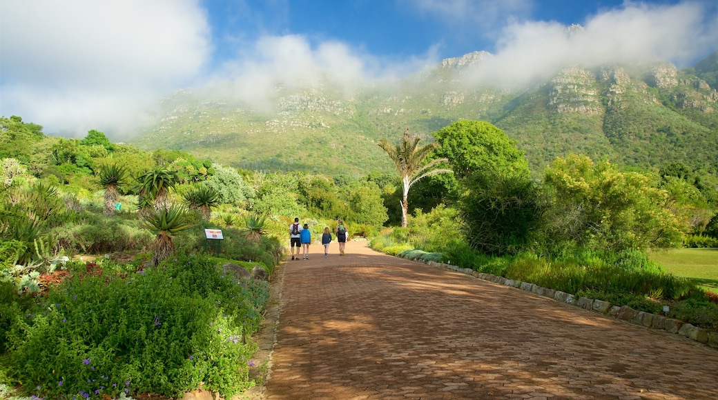 Kirstenbosch National Botanical Gardens que incluye un jardín y también un pequeño grupo de personas