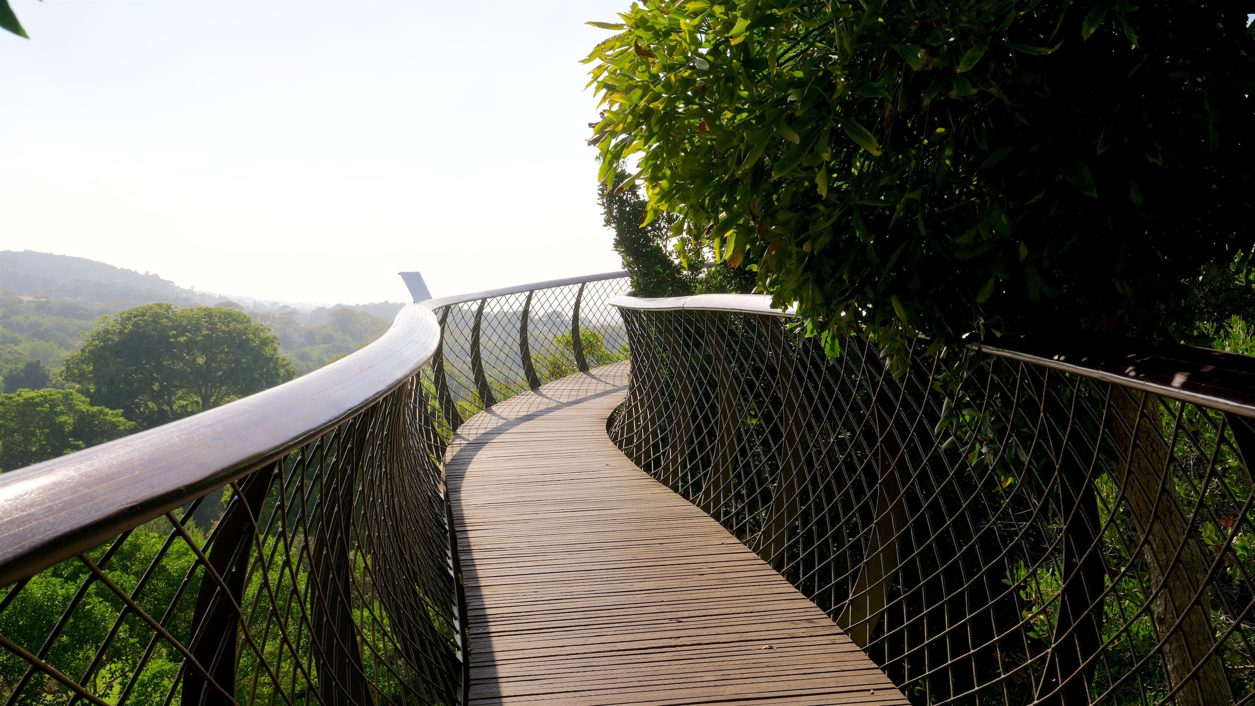 Kirstenbosch National Botanical Garden