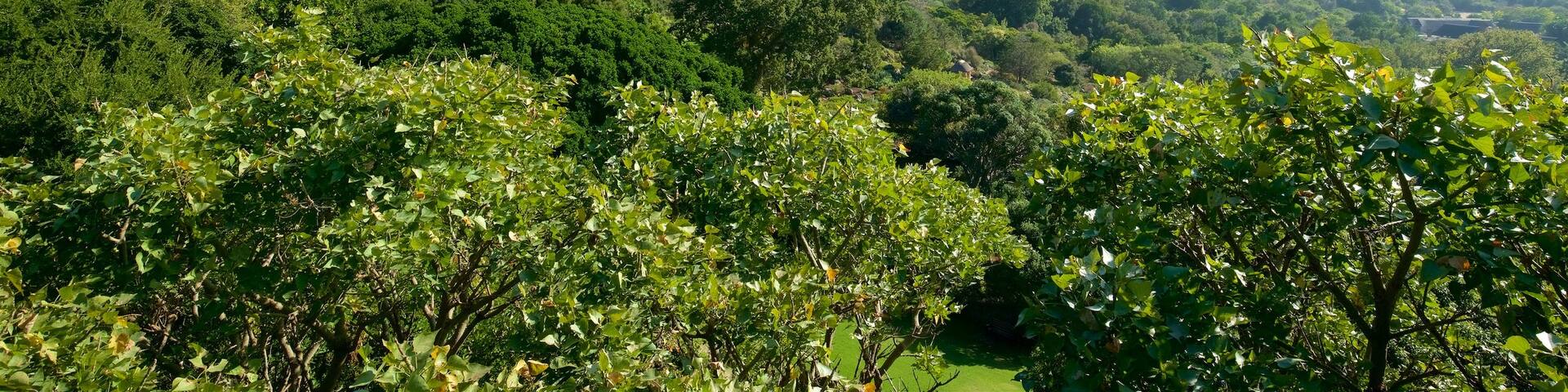 Kirstenbosch National Botanical Gardens which includes a park