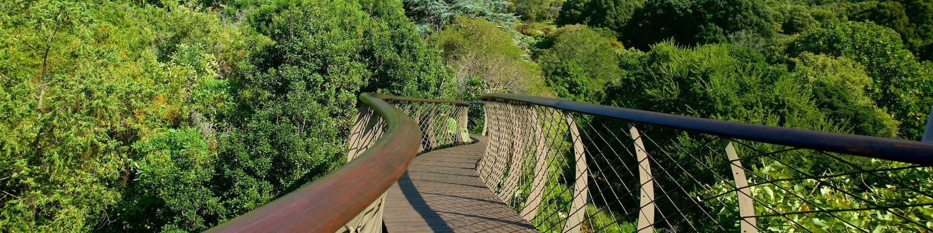 Kirstenbosch National Botanical Garden featuring a park and a bridge