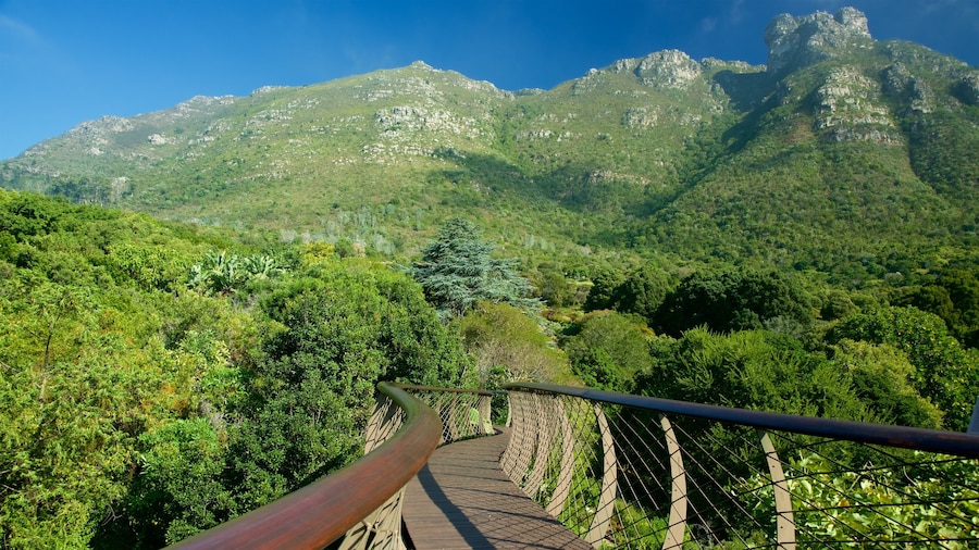 Jardim BotĂąnico Nacional Kirstenbosch caracterizando um jardim e uma ponte