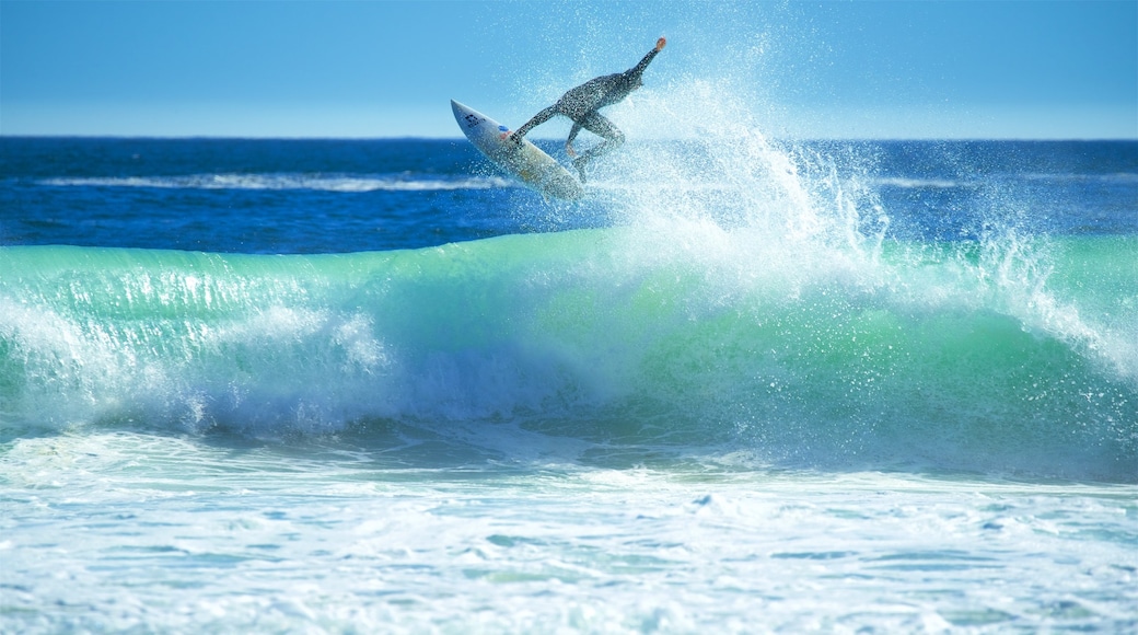 Llandudno Beach showing surfing and waves