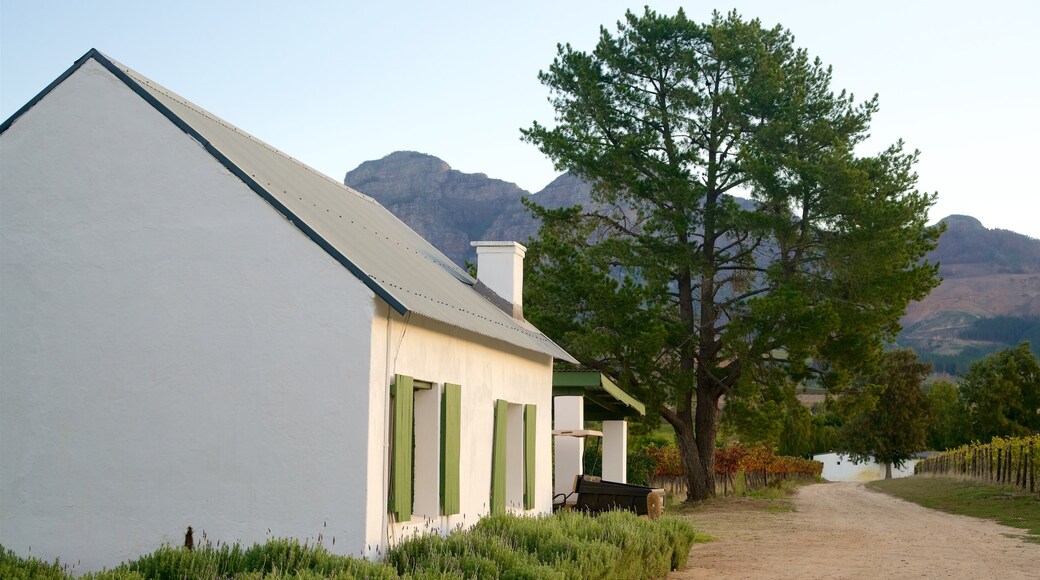 Cape Winelands showing a house